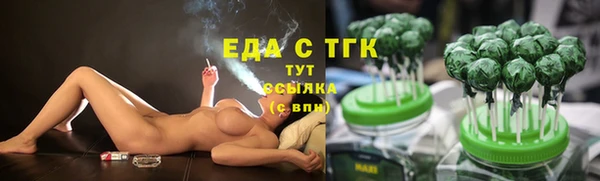 прущие грибы Абаза