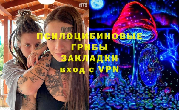 прущие грибы Абаза