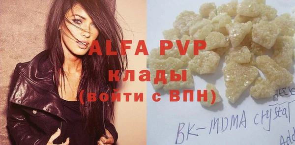 прущие грибы Абаза