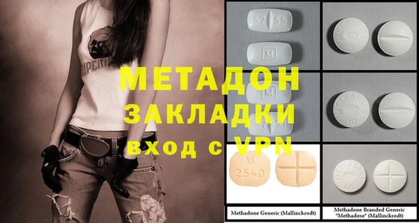 прущие грибы Абаза
